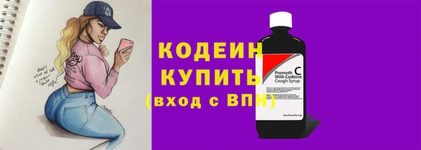 стаф Гусев