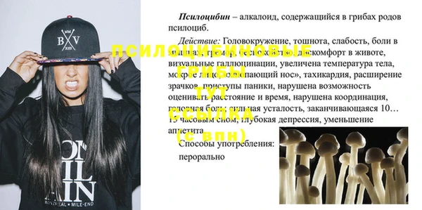 СК Горнозаводск