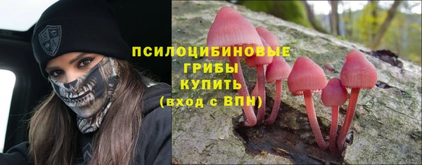 ALPHA PVP Горняк