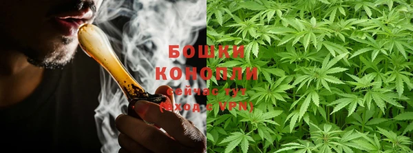 Альфа ПВП Гусь-Хрустальный