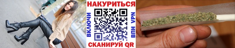 Каннабис OG Kush  Купить где  Чегем 